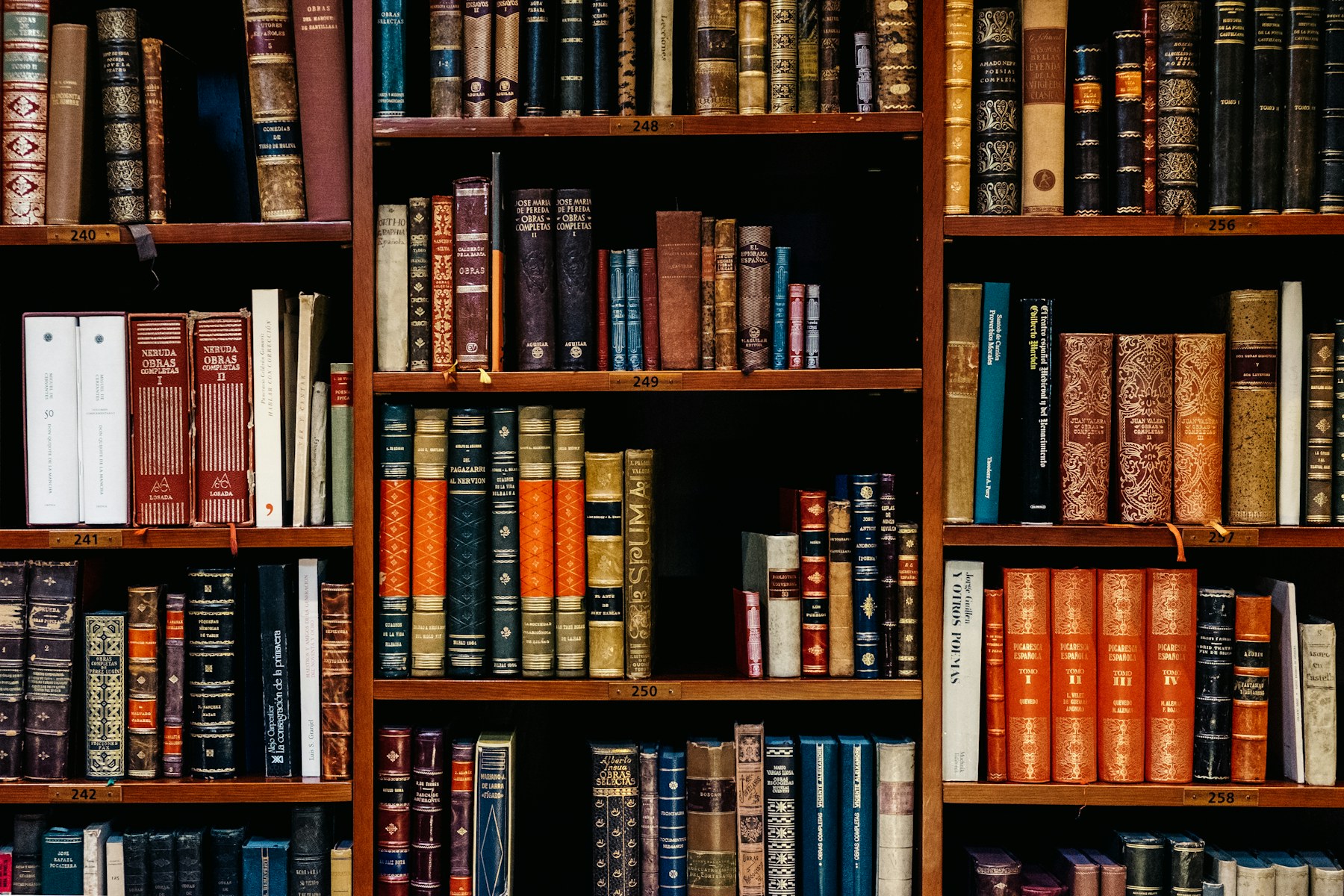 Reading room with library tables and bookshelves